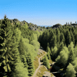 Urlaub Deutschland • Harz (Sehenswürdigkeiten)