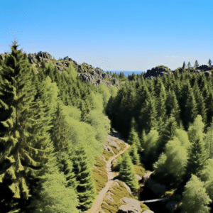 Urlaub Deutschland • Harz (Sehenswürdigkeiten)