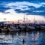 Urlaub Kroatien Istrien Umag (Sehenswürdigkeiten)