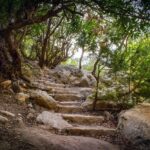 Urlaub Zypern Paphos Akamas Peninsula National Park (Sehenswürdigkeiten)