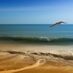 Urlaub Bulgarien Sonnenstrand (Sehenswürdigkeiten)