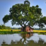 Urlaub Indien Kerala Alleppey (Sehenswürdigkeiten)