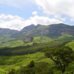 Urlaub Indien Kerala Munnar (Sehenswürdigkeiten)