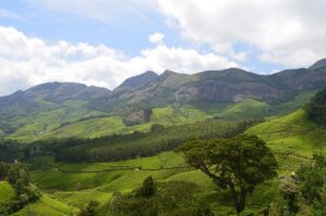 Urlaub Indien Kerala Munnar (Sehenswürdigkeiten)