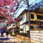 Urlaub Japan Kamakura (Sehenswürdigkeiten)