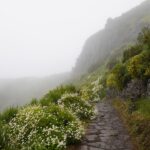 Urlaub Portugal Pico (Sehenswürdigkeiten)
