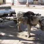 Urlaub Eritrea Asmara (Sehenswürdigkeiten)