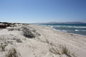 Urlaub Tunesien Bizerte (Sehenswürdigkeiten)