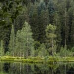 Urlaub Baden-Württemberg • Schwarzwald (Sehenswürdigkeiten)