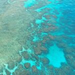 Urlaub Australien • Great Barrier Reef (Sehenswürdigkeiten)
