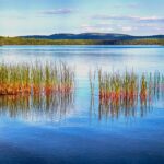 Urlaub Kanada • Algonquin Provincial Park (Sehenswürdigkeiten)