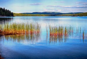 Urlaub Kanada • Algonquin Provincial Park (Sehenswürdigkeiten)