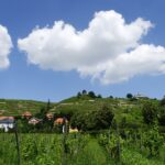 Urlaub Sachsen • Radebeul (Sehenswürdigkeiten)Urlaub Sachsen • Radebeul (Sehenswürdigkeiten)